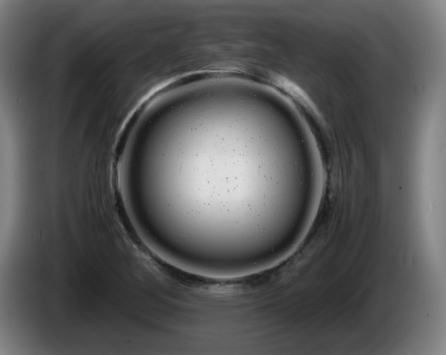 X0000086091268200703301143