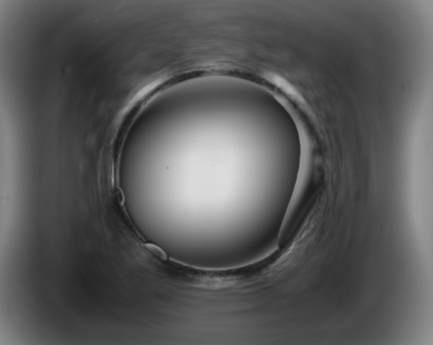 X0000086091269200703301143