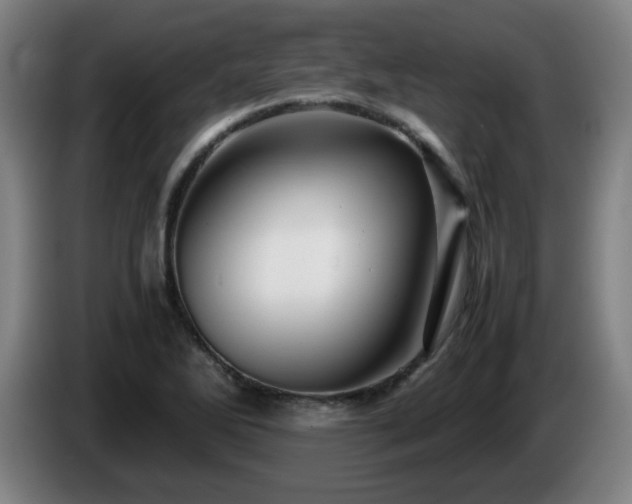 X0000086091270200703301143