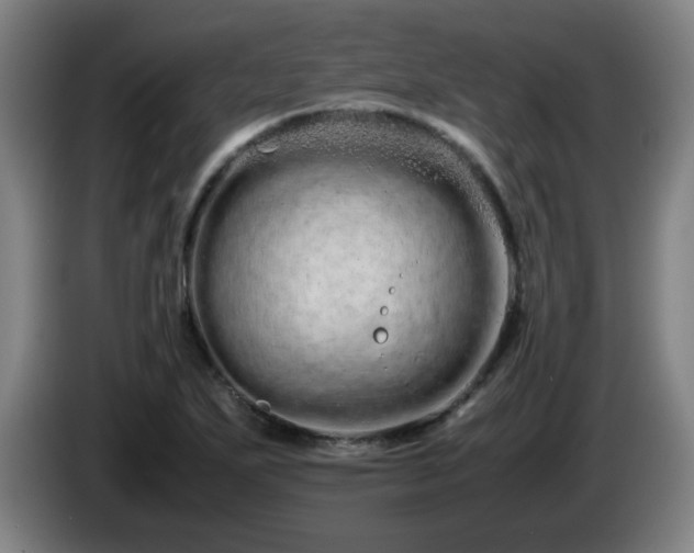 X0000086091271200703301143