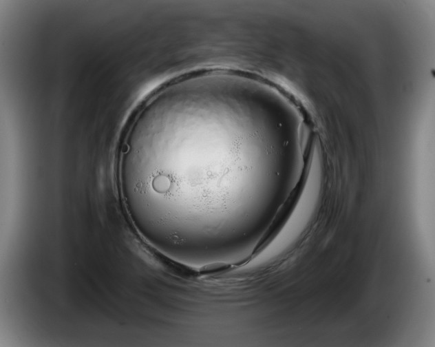 X0000086091272200703301143