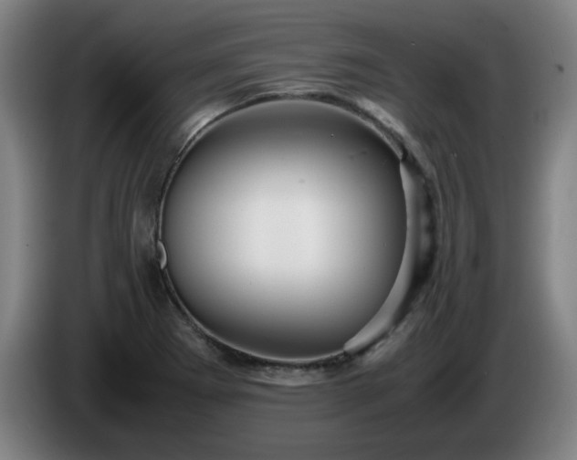 X0000086091273200703301143