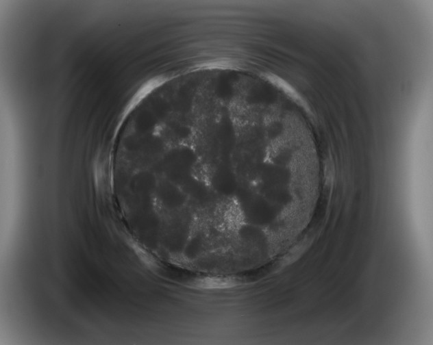 X0000086091274200703301143