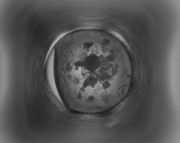 X0000086091275200703301143