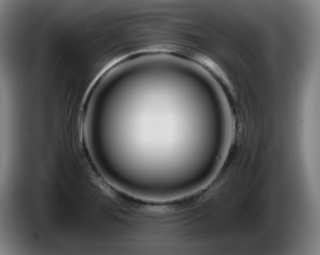 X0000086091276200703301143