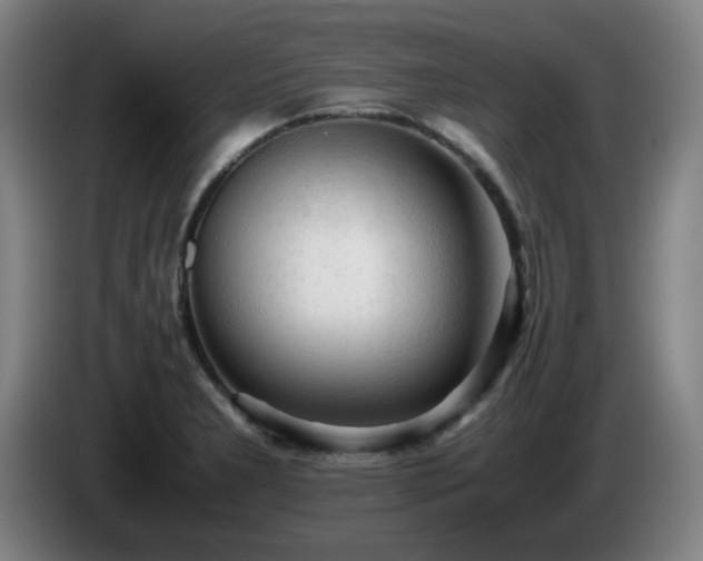 X0000086091277200703301143