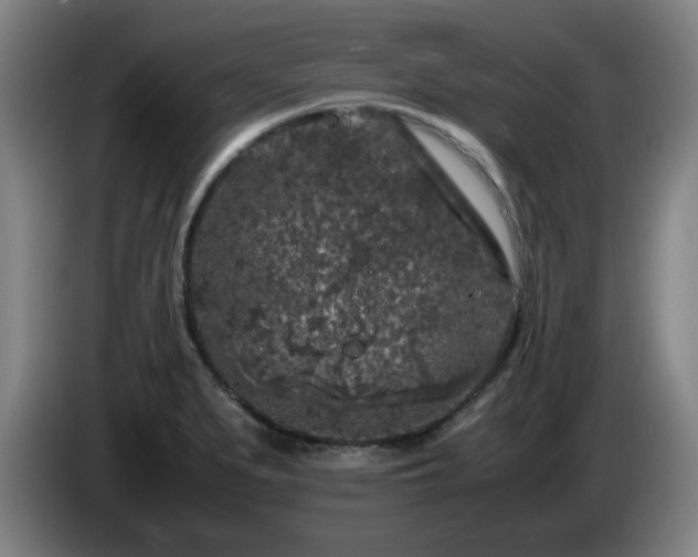 X0000086091279200703301143