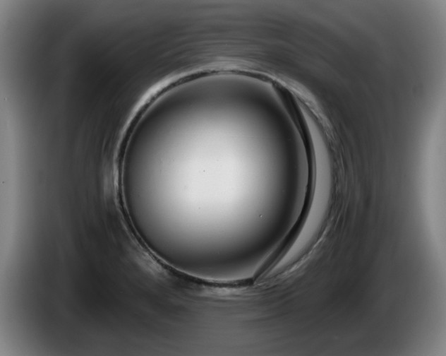 X0000086091280200703301143