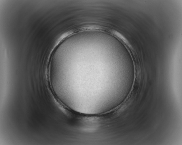 X0000086091282200703301143