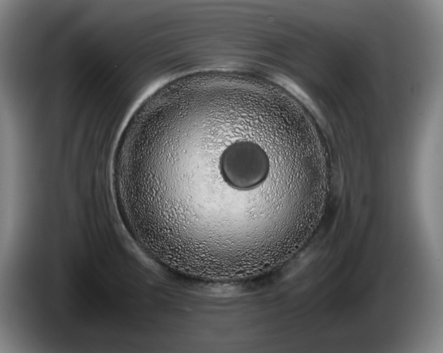 X0000086091283200703301143