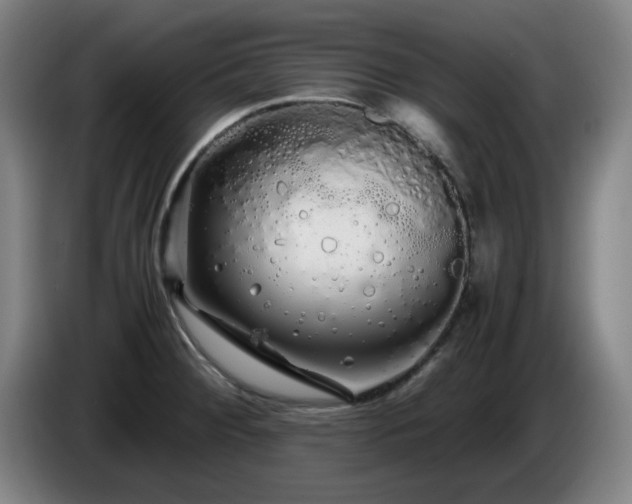 X0000086091284200703301143