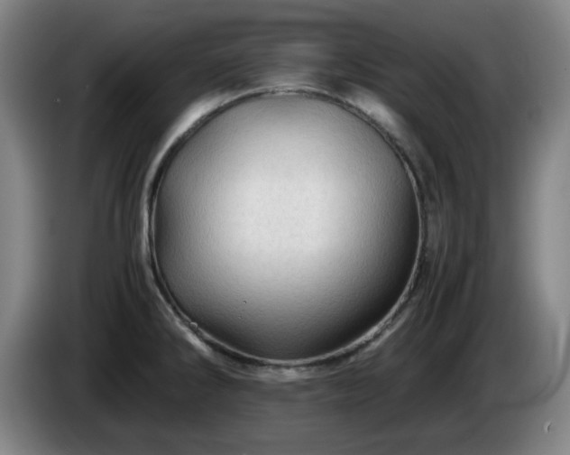 X0000086091286200703301143