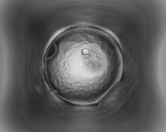 X0000086091287200703301143