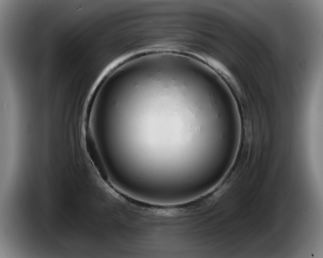 X0000086091288200703301143