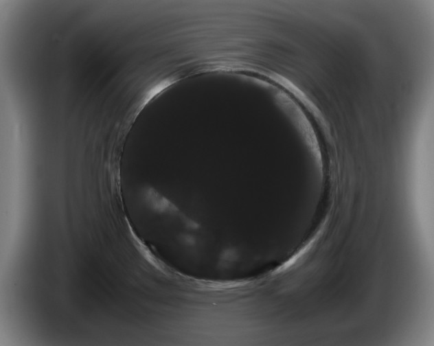 X0000086091289200703301143