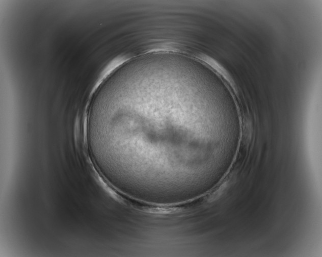 X0000086091290200703301143