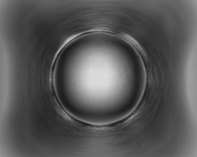 X0000086091292200703301143