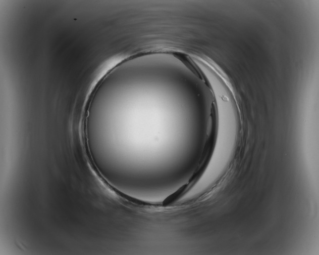 X0000086091293200703301143