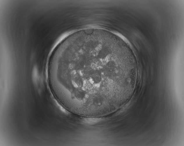 X0000086091294200703301143