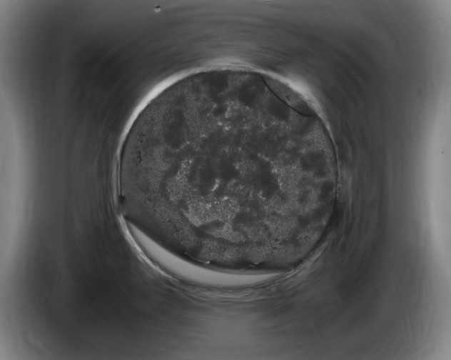 X0000086091295200703301143