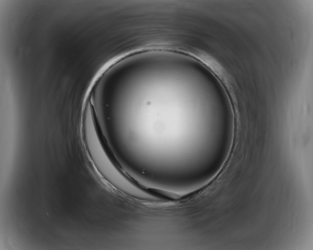 X0000086091296200703301143