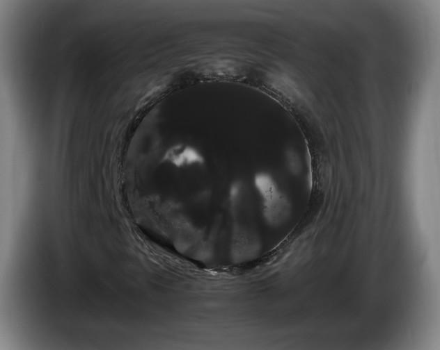 X0000086091297200703301142