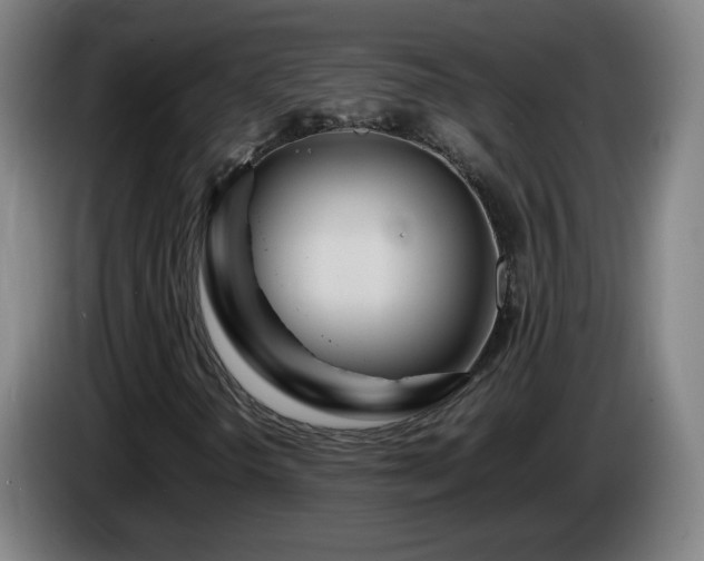 X0000086091298200703301142