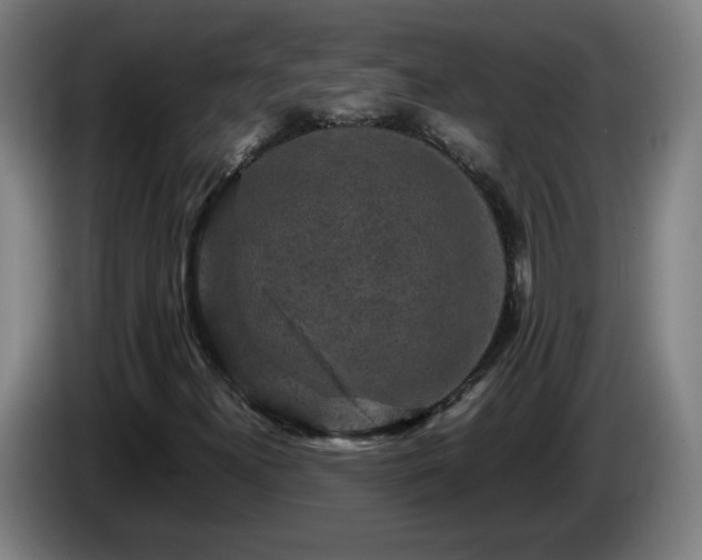 X0000086091300200703301142