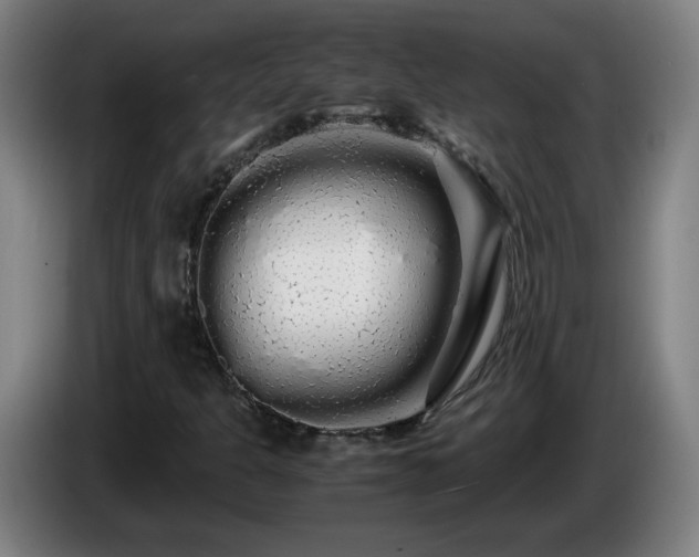 X0000086091301200703301142