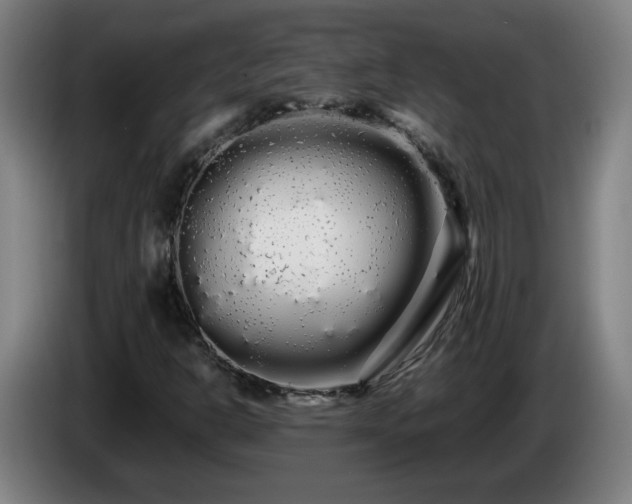 X0000086091302200703301142