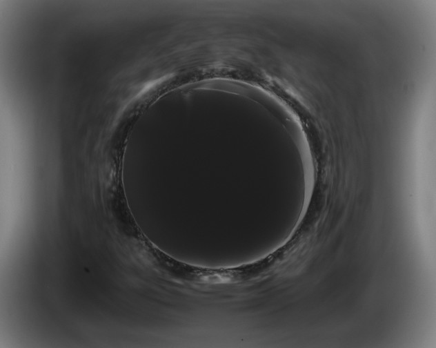 X0000086091303200703301142