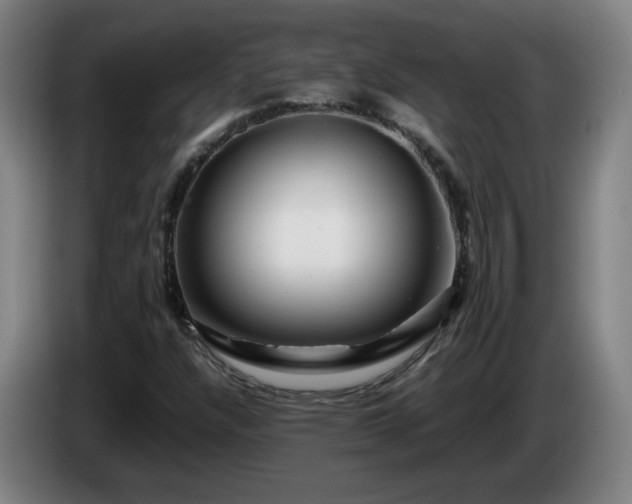 X0000086091304200703301142