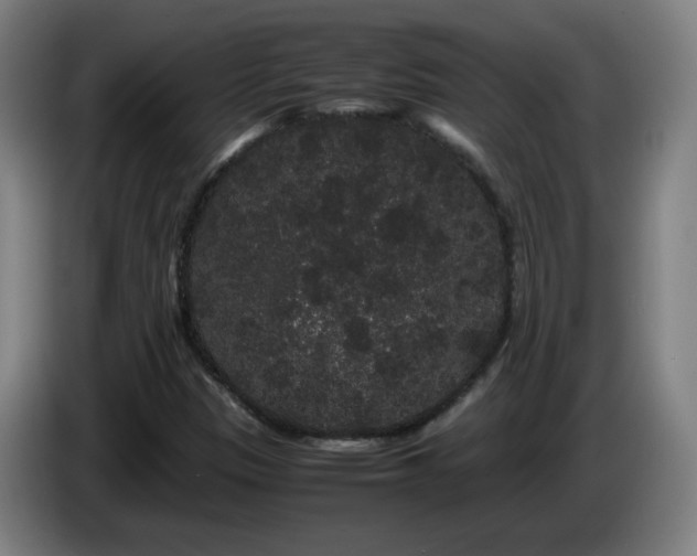 X0000086091305200703301142