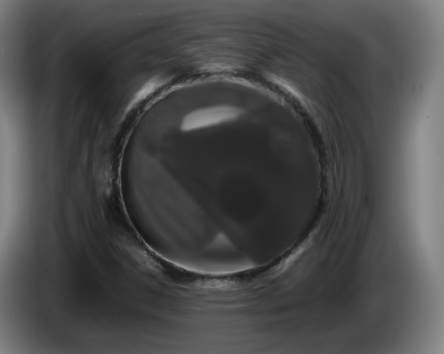 X0000086091306200703301142