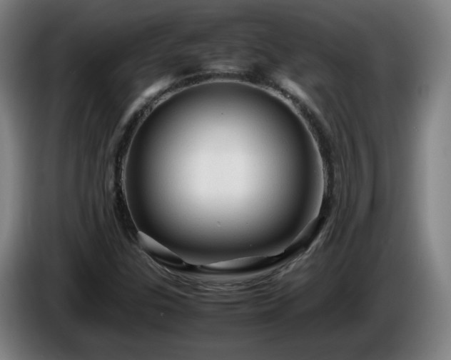 X0000086091307200703301142