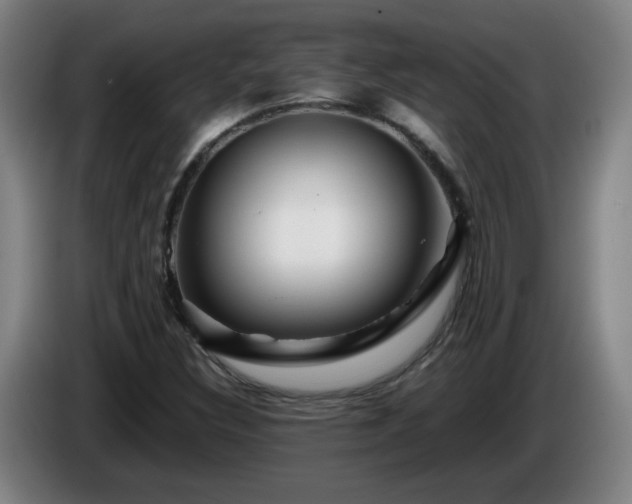 X0000086091308200703301142