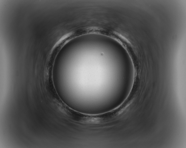 X0000086091309200703301142