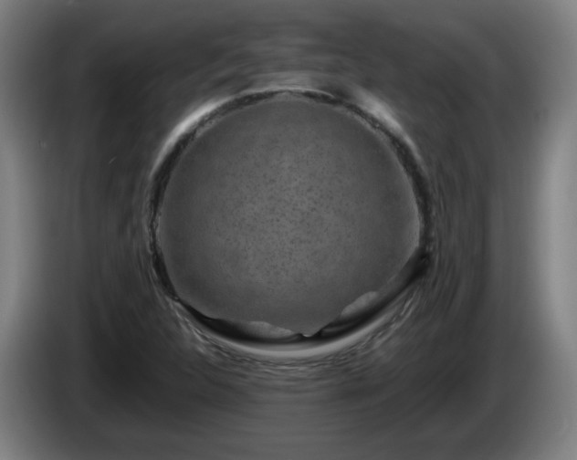 X0000086091312200703301142