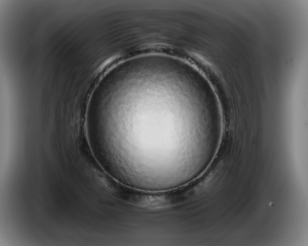 X0000086091313200703301142