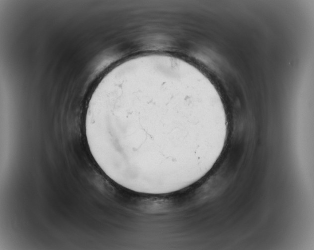 X0000086091314200703301142