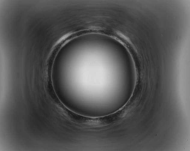 X0000086091315200703301142