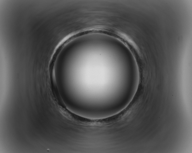 X0000086091316200703301142