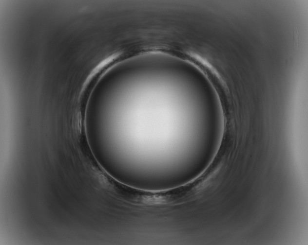 X0000086091317200703301142