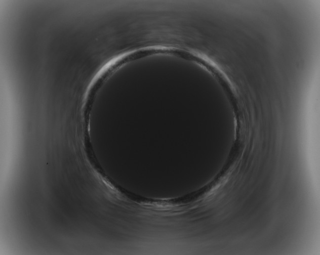 X0000086091319200703301142