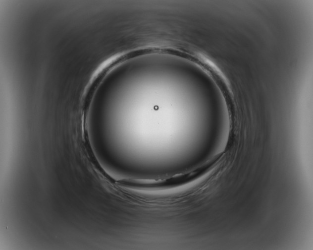 X0000086091320200703301142