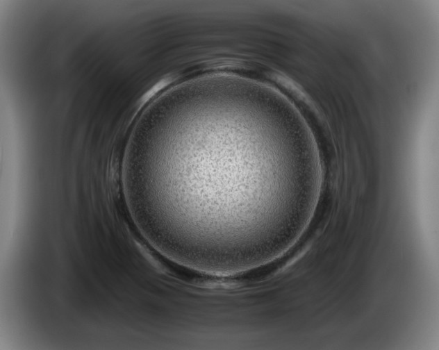 X0000086091321200703301142