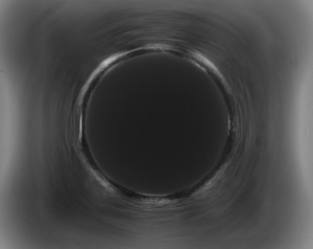 X0000086091323200703301142