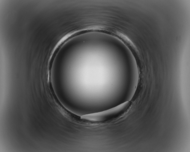 X0000086091324200703301142