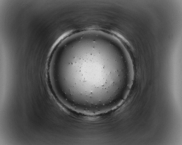 X0000086091325200703301142