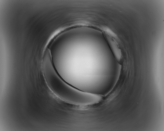 X0000086091326200703301142